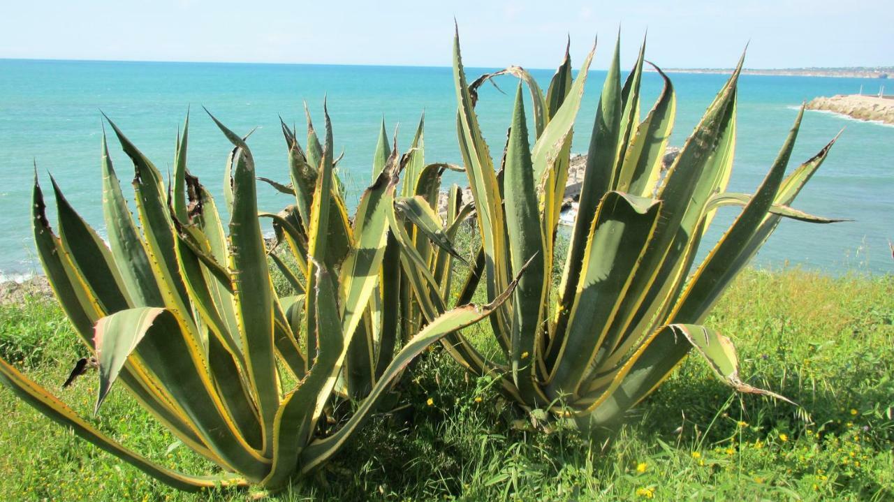 Apartamento Sapori Di Mare Trappeto  Exterior foto