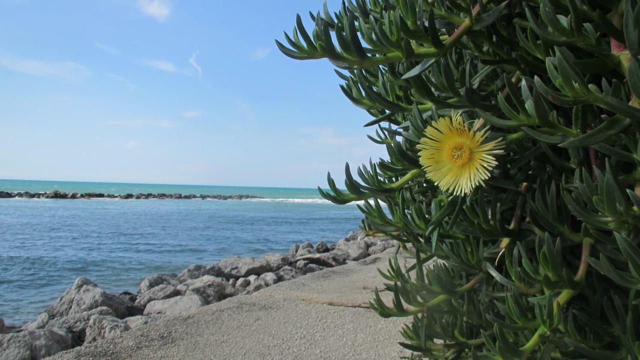 Apartamento Sapori Di Mare Trappeto  Exterior foto